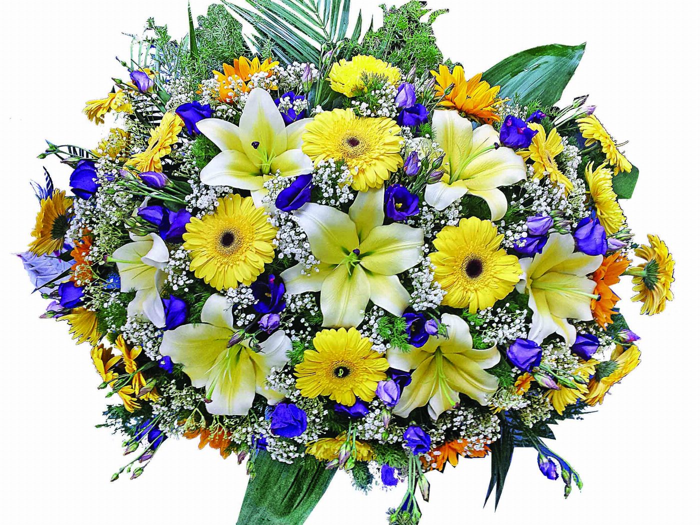 Пиафлор №8