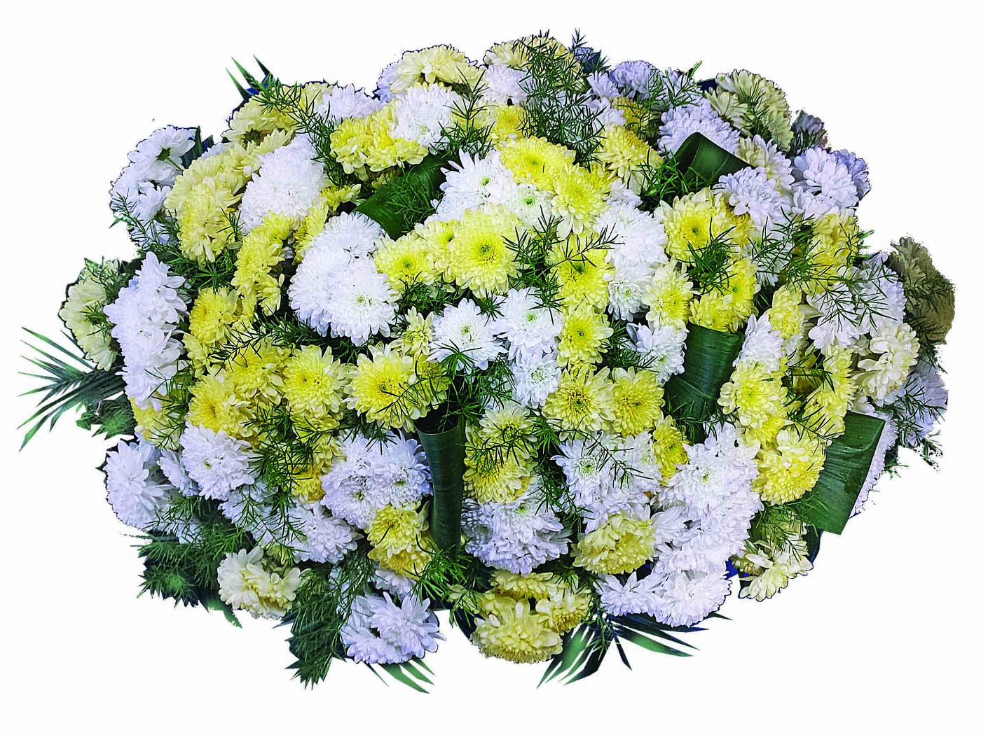 Пиафлор №20