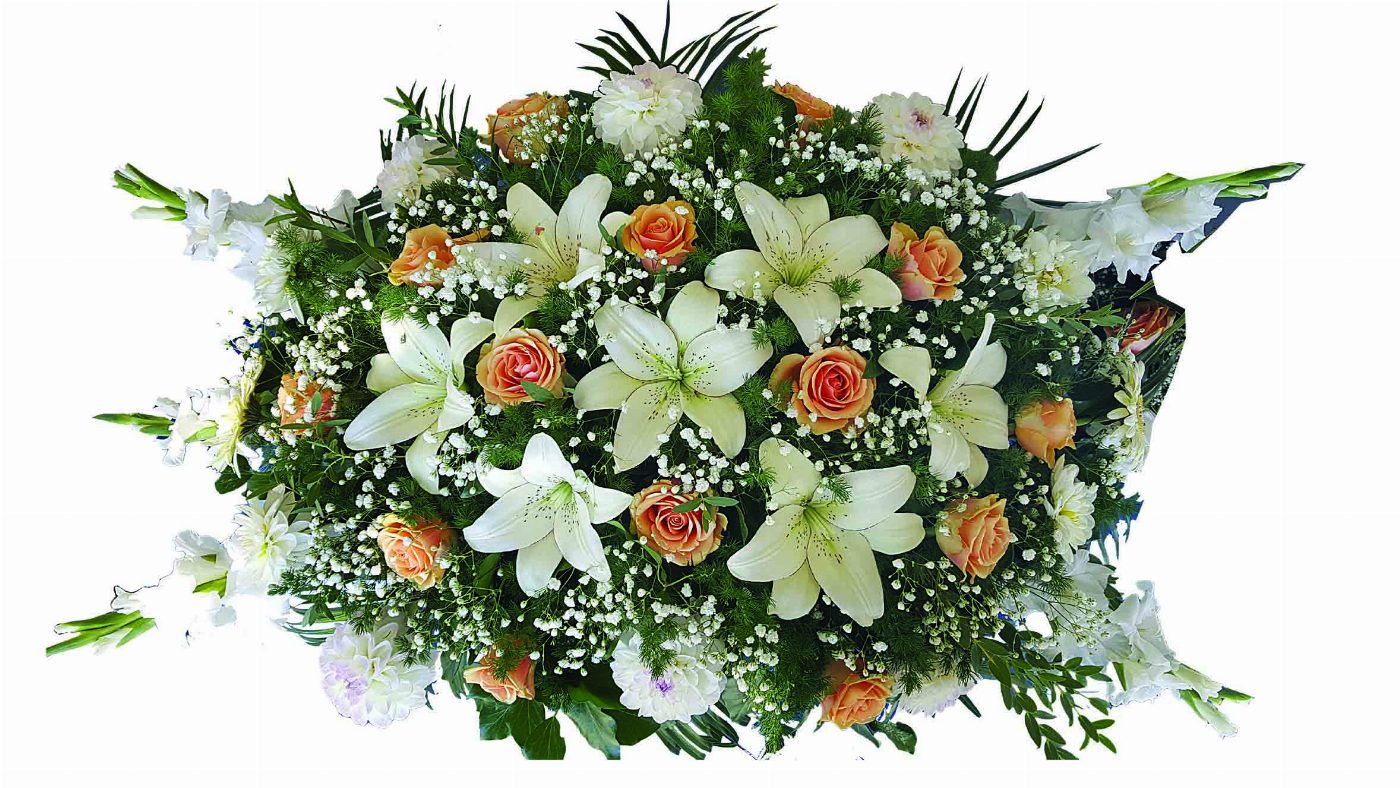 Пиафлор №24