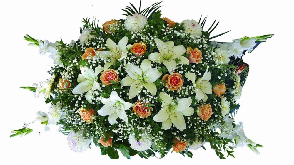Пиафлор №24