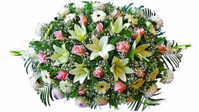Пиафлор №25