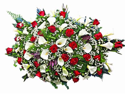 Пиафлор №29