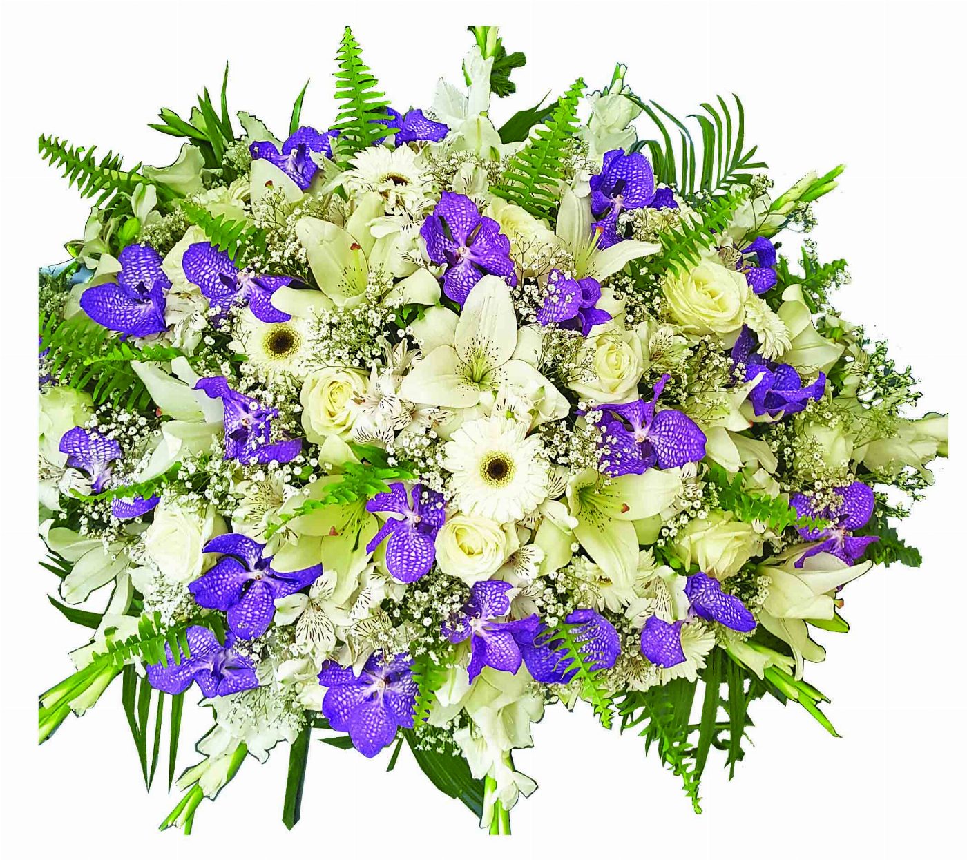 Пиафлор №37