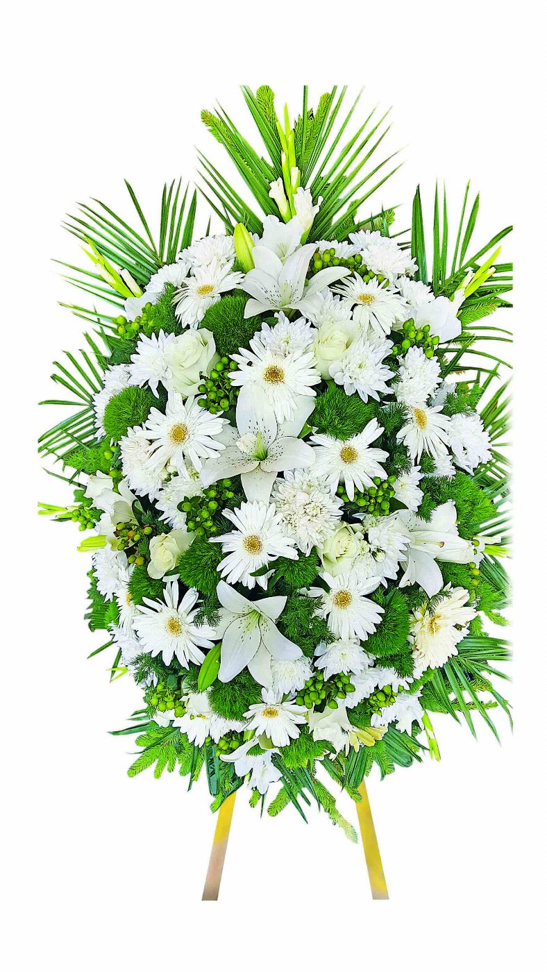 Венец №11